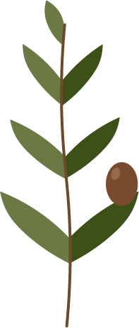 Villa Oliva Logo — Olivenzweig